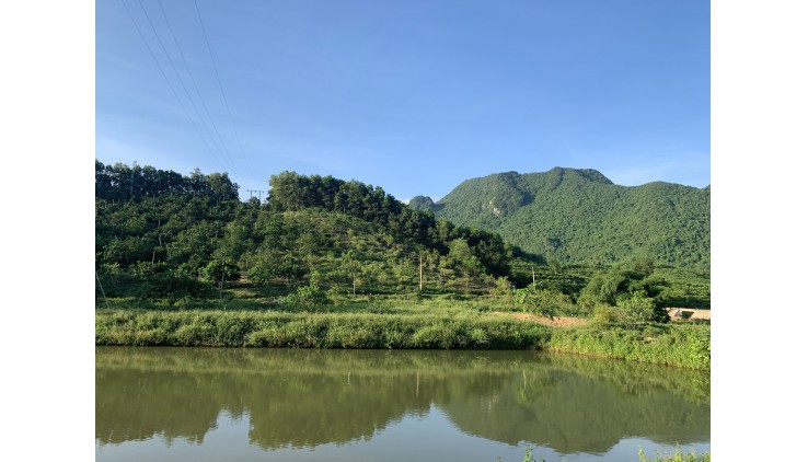 Siêu phẩm 40.000m đất vườn thổ cư ĐRSX bám đường nhựa viu núi có 3000m ao làm sinh thái giá trên 3tỷ